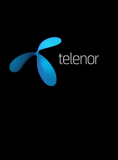 Telenor Bizmine project preview